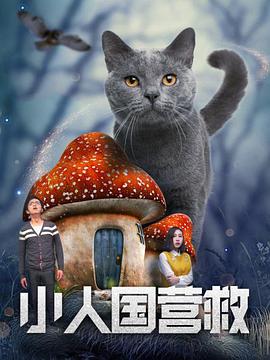 欧美日韩综合一区